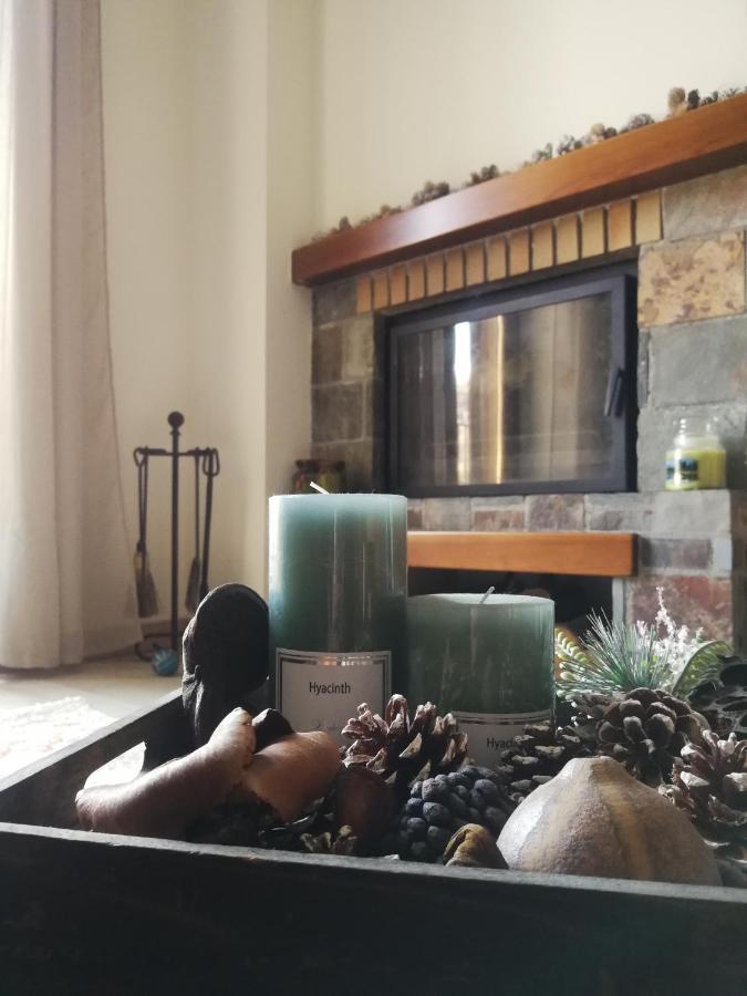 Apartament Ca La Nena Esterri d'Àneu Extérieur photo